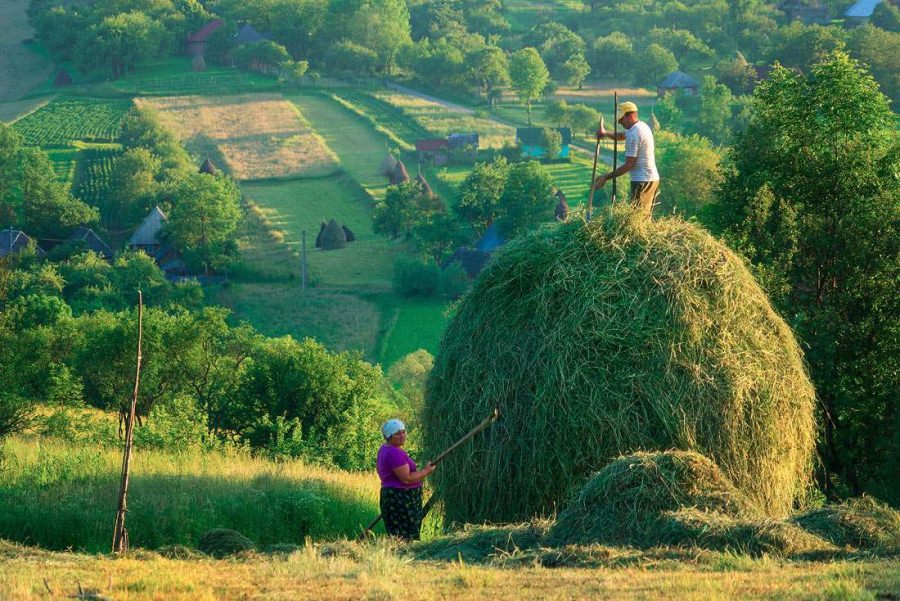 Vremea exactă în Maramureș, joi, 29 iulie
