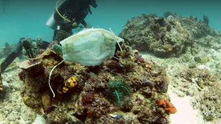 Imagini dezolante: Măștile sanitare aruncate ajung pe recifele de corali din Filipine