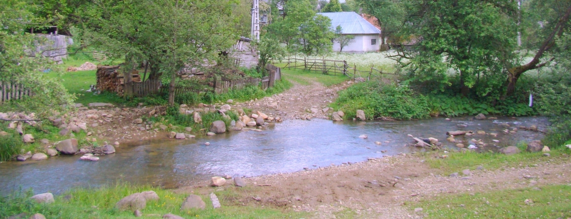 Bărbat de 74 ani găsit decedat în albia râului Bloaja-Cavnic