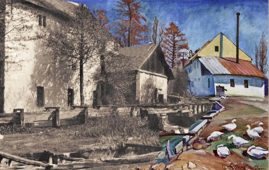 „Reflexii arhitecturale băimărene” – expoziție virtuală lansată în weekend