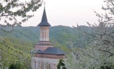De Izvorul Tămăduirii: Hramul mic la Mănăstirea Rohia