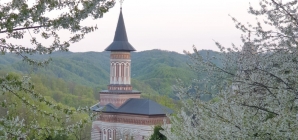 De Izvorul Tămăduirii: Hramul mic la Mănăstirea Rohia