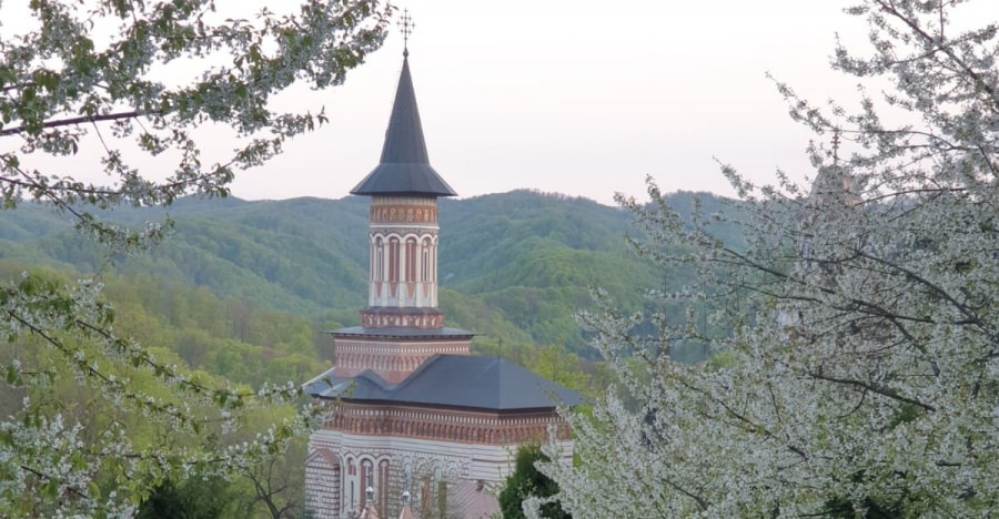 Care este programul liturgic la Mănăstirea Rohia de Praznicul Bunei Vestiri și în duminica a patra din Postul Paștilor