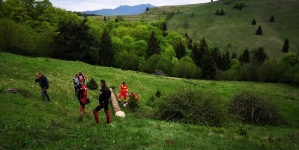 Sfârșit tragic: Un bărbat din Budești a decedat după ce un copac a căzut peste el