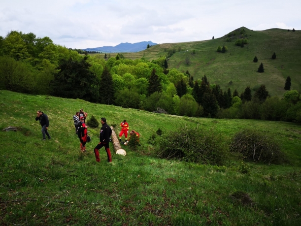 Sfârșit tragic: Un bărbat din Budești a decedat după ce un copac a căzut peste el