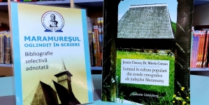 „Maramureșul oglindit în scrieri”: Serviciu online oferit de Biblioteca Județeană ”Petre Dulfu” Baia Mare