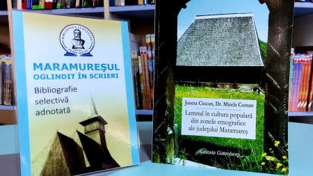 „Maramureșul oglindit în scrieri”: Serviciu online oferit de Biblioteca Județeană ”Petre Dulfu” Baia Mare