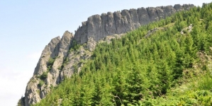 De Ziua Mondială a Mediului: Drumeție în Aria Naturală Protejată Creasta Cocoșului