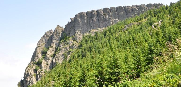 De Ziua Mondială a Mediului: Drumeție în Aria Naturală Protejată Creasta Cocoșului