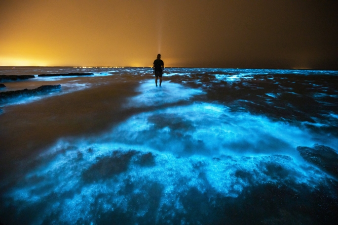 Fenomen rar și spectaculos: Ape acoperite de alge strălucitoare (FOTO)