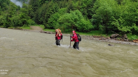 Emoționant!: Un câine a primit o nouă șansă la viață! Salvamontiștii l-au traversat în spate râul Vaser. Cățelul numit Paltin va avea o familie (VIDEO ȘI FOTO)