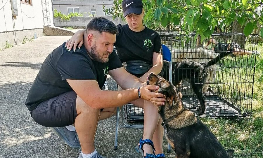 Bilanțul unei acțiuni extraordinare: 269 animale sterilizate în 4 zile în Maramureș în campania Fight for Animals. Bonus: o poveste emoționantă (VIDEO ȘI FOTO)