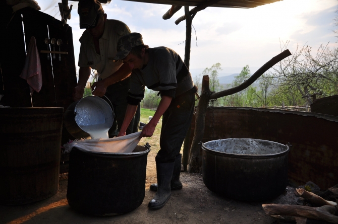 Cașul de oaie, o adevărată delicatesă culinară; Aflați de la maramureșeni pricepuți cum se face
