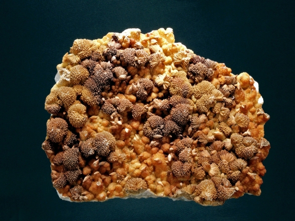 Frumusețile Maramureșului: Un eșantion din calcit, din Mina Cavnic, este exponatul săptămânii la Muzeul de Mineralogie din Baia Mare (FOTO)