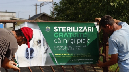 Acțiune bună în Maramureș: Campanie de sterilizări gratuite pentru câini și pisici timp de 4 zile la dispensarul veterinar din comuna Recea