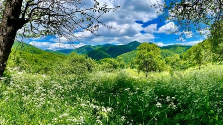 Vremea exactă în Maramureș, vineri, 1 octombrie