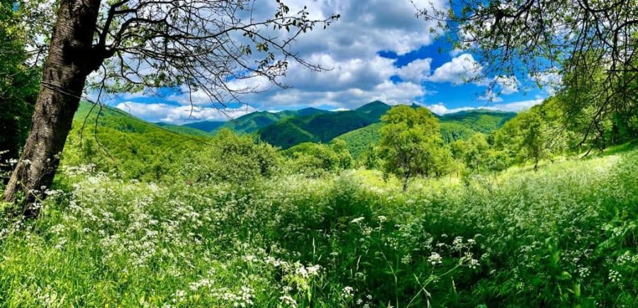 Vremea exactă în Maramureș, joi, 4 august
