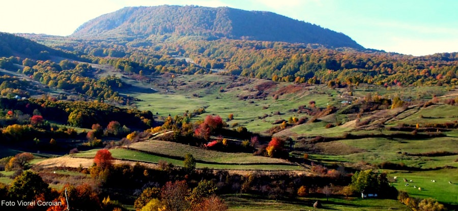 Vremea exactă în Maramureș, luni, 16 august