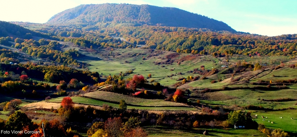Vremea exactă în Maramureș, luni, 16 august