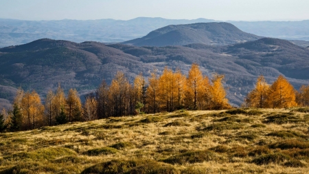 Muntele sfânt al Maramureșului, numit „Șatra”. Care este istoria mai puțin știută despre acest obiectiv turistic, unic și inedit (FOTO)