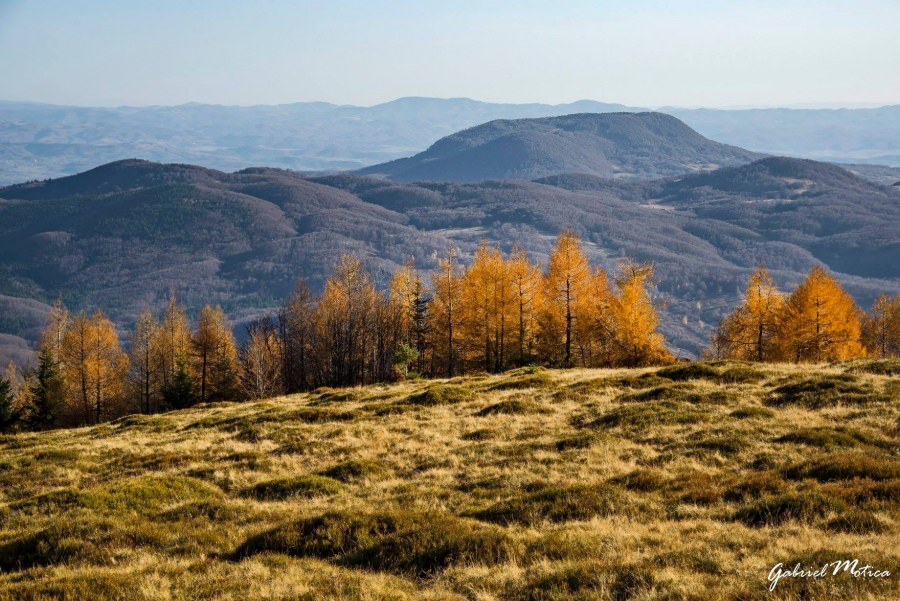 Muntele sfânt al Maramureșului, numit „Șatra”. Care este istoria mai puțin știută despre acest obiectiv turistic, unic și inedit (FOTO)