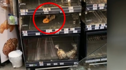 Doi şobolani mănâncă dintr-un covrig pe raftul unui supermarket din Sectorul 1. Reacția magazinului: Nu putem controla sursele externe