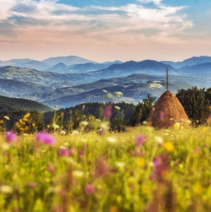 Vremea exactă în Maramureș, joi, 19 august