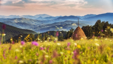 Meteo Maramureș: Luna iunie își confirmă statutul de cea mai instabilă a anului. Sunt așteptate atât caniculă cât și furtuni. Vezi estimările pe două săptămâni