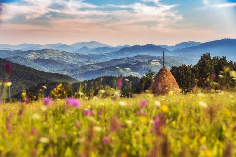Vremea exactă în Maramureș, joi, 19 august