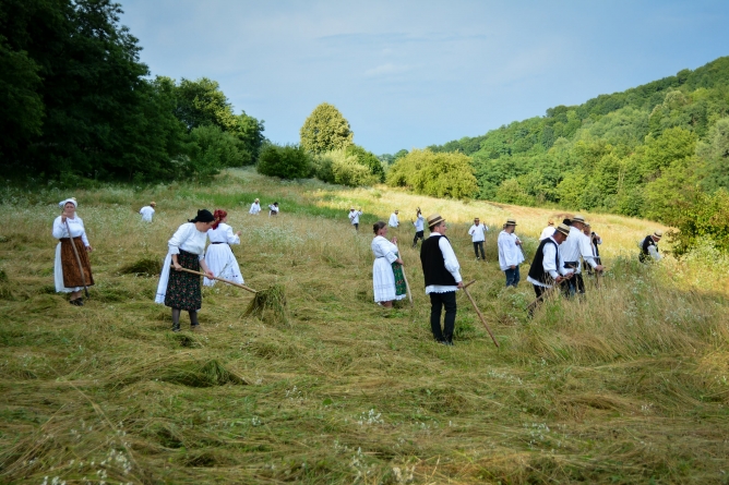 Ca pe vremuri: A fost clacă de coasă pe Valea Mare (FOTO)