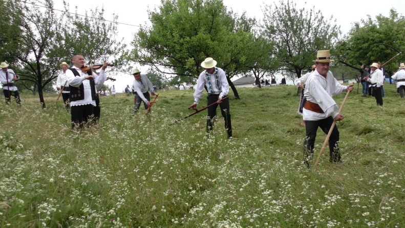 A fost clacă de coasă la Codru Butesii; S-au dat și premii pentru „cel mai bun cosaș”