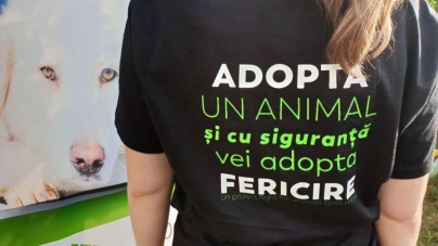 Anunț important în Maramureș: Campanie de sterilizări gratuite pentru câini și pisici, în județ. Acțiunea se va derula timp de 4 zile, în Târgu Lăpuș și Recea!