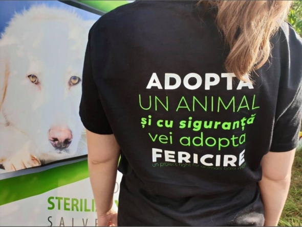 Anunț important în Maramureș: Campanie de sterilizări gratuite pentru câini și pisici, în județ. Acțiunea se va derula timp de 4 zile, în Târgu Lăpuș și Recea!