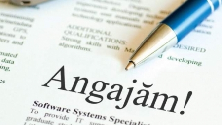 În Baia Mare se organizează bursa locurilor de muncă; Sunt disponibile aproape 400 de locuri de muncă