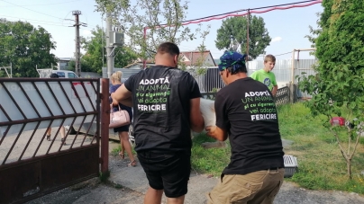O acțiune în beneficiul necuvântătoarelor: 256 animale sterilizate în 4 zile în Maramureș în campania Fight for Animals derulată în Târgu Lăpuș și Recea (FOTO)