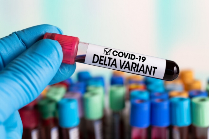 Tulpina Delta în Maramureș: Cinci cazuri de persoane infectate cu noua variantă de COVID-19 în Maramureș! Cu toții au venit din străinătate