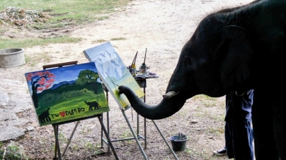 Inedit: Un pui de elefant pictează tablouri care se vând cu sute de lire sterline