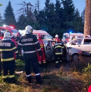 Acțiune amplă în Maramureș!: Exercițiu cu forțe și mijloace în teren, la Două Veverițe, Recea. A fost simulat un accident rutier cu 12 victime! (VIDEO ȘI FOTO)