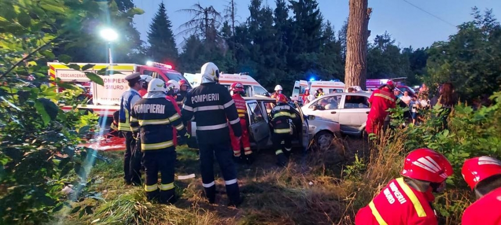 Acțiune amplă în Maramureș!: Exercițiu cu forțe și mijloace în teren, la Două Veverițe, Recea. A fost simulat un accident rutier cu 12 victime! (VIDEO ȘI FOTO)