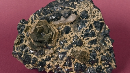Frumusețile Maramureșului: Un eșantion floral fermecător din Mina Herja, exponatul săptămânii la Muzeul de Mineralogie din Baia Mare (FOTO)