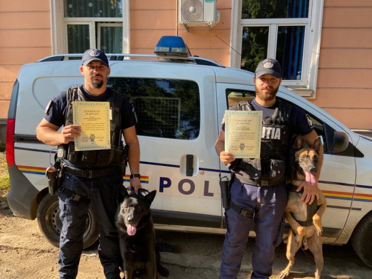 Merite recunoscute în Maramureș!: Membri ai Grupei Canine, felicitați după ce au reușit să prindă un traficant de droguri și autorii mai multor furturi! (FOTO)