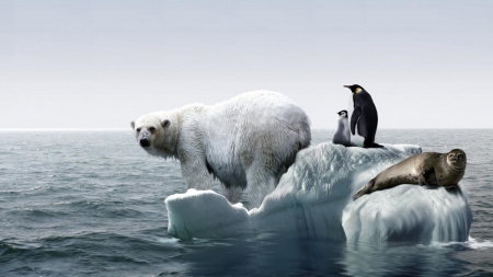 Grafic: Cum a crescut temperatura medie globală în ultimii aproape 200 de ani și cum poate fi atribuit acest lucru activității umane (FOTO)