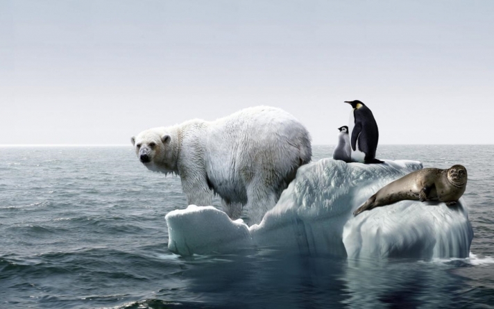 Grafic: Cum a crescut temperatura medie globală în ultimii aproape 200 de ani și cum poate fi atribuit acest lucru activității umane (FOTO)