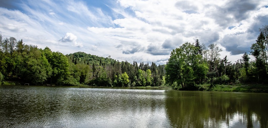 Lacul Lighet din Târgu Lăpuș, alegerea ideală pentru o zi de vară