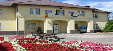 Zile pline în Tăuții-Măgherăuș: întreruperi de curent, colectare deșeuri și campanie de sterilizări