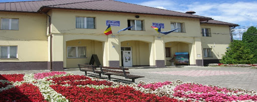 Zile pline în Tăuții-Măgherăuș: întreruperi de curent, colectare deșeuri și campanie de sterilizări