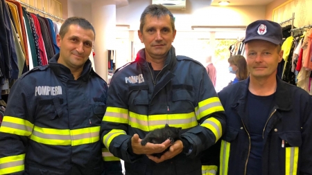 O intervenție mai deosebită: Astăzi, un puiuț de pisică salvat în Baia Mare de pompieri după ce a rămas captiv într-un perete de rigips, într-un magazin (FOTO)