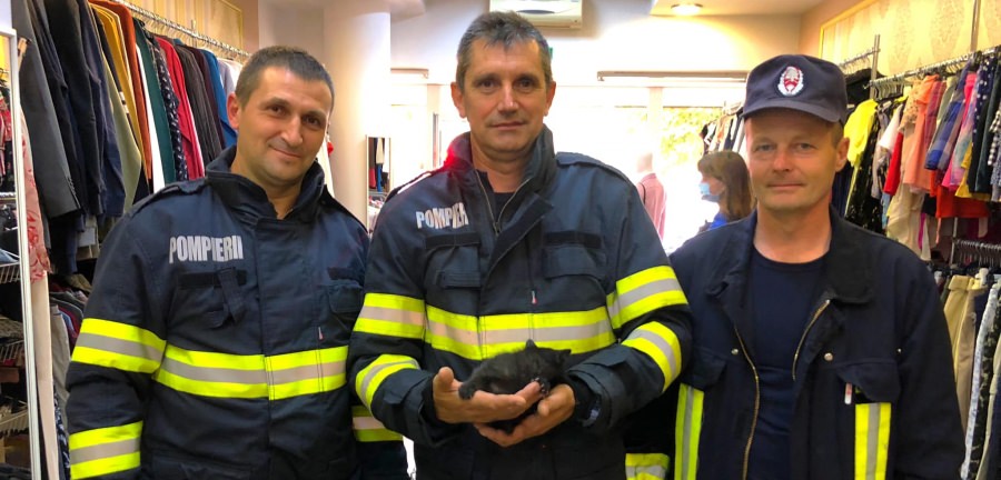 O intervenție mai deosebită: Astăzi, un puiuț de pisică salvat în Baia Mare de pompieri după ce a rămas captiv într-un perete de rigips, într-un magazin (FOTO)