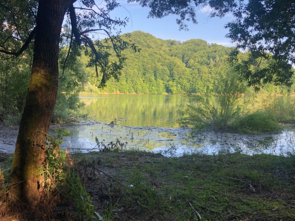 Tragedie în Baia Mare: Persoană decedată în Barajul Firiza