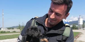 Intervenție în Baia Mare: Pompierii au salvat un cățel fără stăpân pe strada Iazului. Căzuse într-un canal. A fost imediat adoptat de o doamnă! (VIDEO ȘI FOTO)